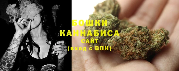 прущий лед Мегион