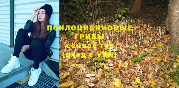прущий лед Мегион