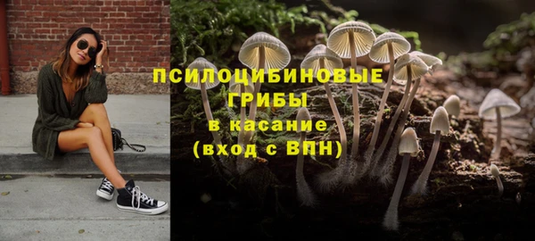 винт Медногорск