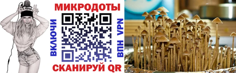 Галлюциногенные грибы мухоморы  Орёл 